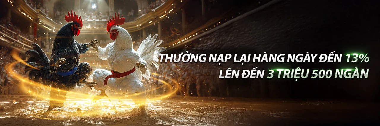 Đá Gà Fun88sc Trực Tuyến